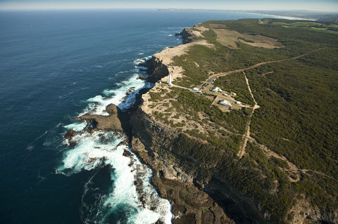 Cape Nelson State Park - Foster Accommodation 1