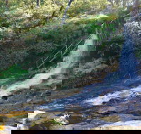 Charles Darwin walk - Foster Accommodation