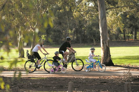 Coast To Vines Rail Trail - Foster Accommodation 1