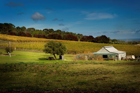 Coast To Vines Rail Trail - Foster Accommodation 2