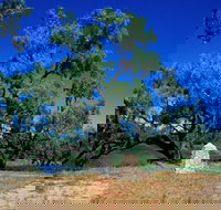 Comet - Foster Accommodation