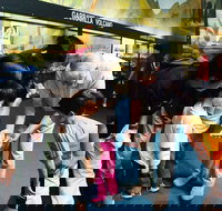 Crystal Kingdom - Foster Accommodation