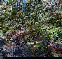 Dawson River Walking Track - Foster Accommodation