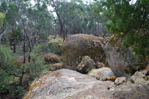 Dergholm State Park - Foster Accommodation 0