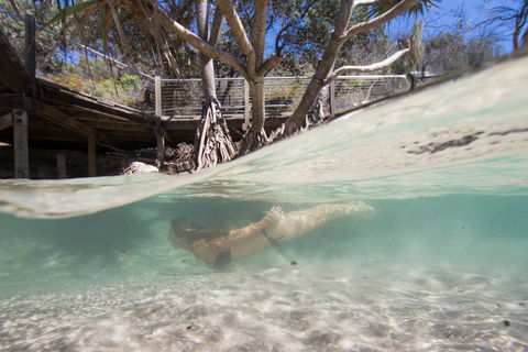 Eli Creek - Foster Accommodation 2