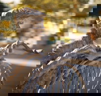 Evandale - Foster Accommodation