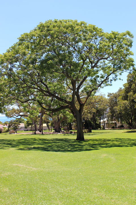 Flinders Park Playground - Foster Accommodation 0