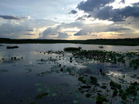 Fogg Dam Conservation Reserve - Foster Accommodation 1