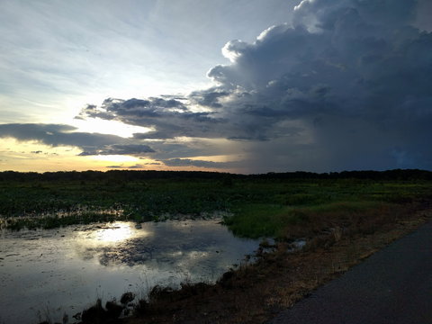 Fogg Dam Conservation Reserve - Foster Accommodation 2
