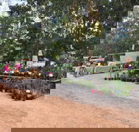 Fred's Pass Rural Market - Foster Accommodation