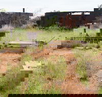 Ghans Bore No7 Govt Bore - Foster Accommodation