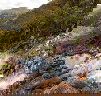 Gibraltar Range National Park - Foster Accommodation