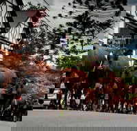 Jamberoo - Foster Accommodation