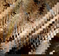 Jillabenan Cave - Foster Accommodation