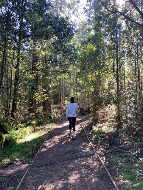 Lyrebird Circuit Walk - Foster Accommodation 0