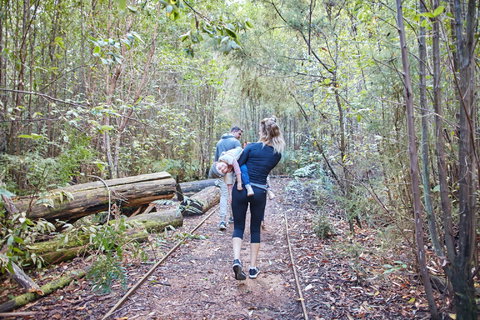 Lyrebird Circuit Walk - Foster Accommodation 1