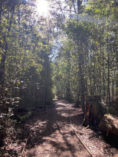 Lyrebird Circuit Walk - Foster Accommodation 2