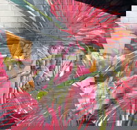 Mokoan Rest Stop Northbound - Foster Accommodation