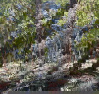 Mount Gray walking track - Foster Accommodation