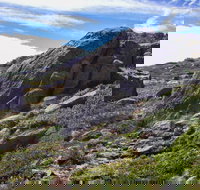 Mount Stillwell walk - Foster Accommodation