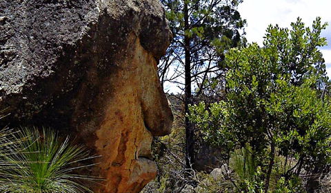 Mystery Face Walking Track - Foster Accommodation 0
