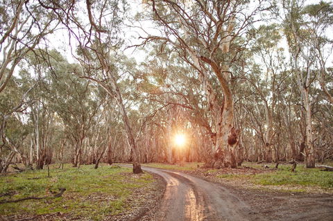 Nyah Vinifera Park - Foster Accommodation 1
