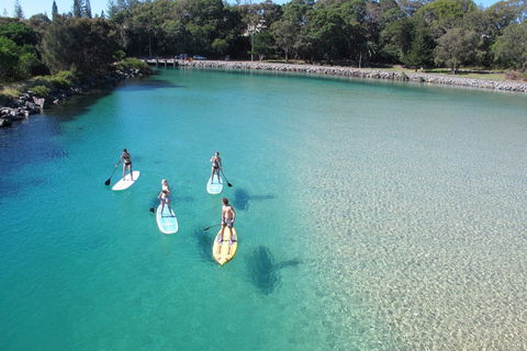 Paddleboard At Back Creek South West Rocks - Foster Accommodation 0