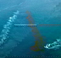Port Noarlunga Reef Sanctuary Zone - Encounter Marine Park - Foster Accommodation
