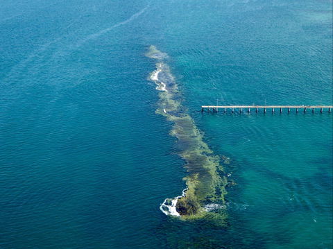 Port Noarlunga Reef Sanctuary Zone - Encounter Marine Park - Foster Accommodation 0