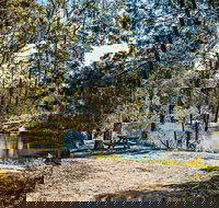 River Walk Boonoo Boonoo National Park - Foster Accommodation