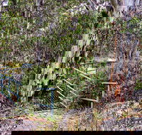 Sawpit Walking Track - Foster Accommodation