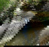 Second Ponds Creek Walk - Foster Accommodation