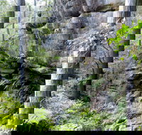 She-Oak Crossing Walk - Foster Accommodation