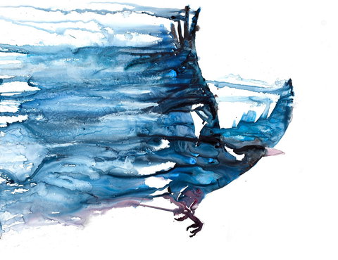 Sluga Gallery - Foster Accommodation 1