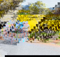 The Heron's Highway - Avon River Cycle Trail - Foster Accommodation