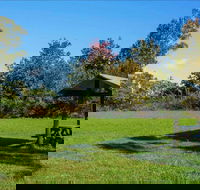 Tunks Hill picnic area - Foster Accommodation