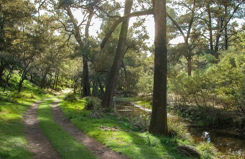 Turon National Park - Foster Accommodation 0