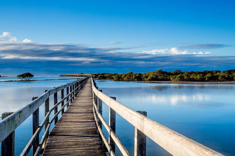 Urunga Boardwalk - Foster Accommodation 1