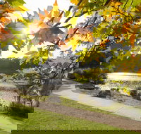 Wentworth Falls Lake - Foster Accommodation