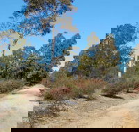 Werakata National Park - Foster Accommodation