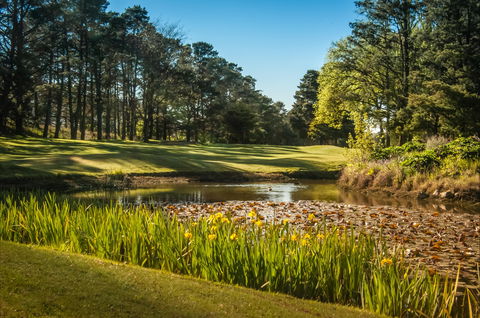Yowani Country Club Incorporated - Foster Accommodation 2