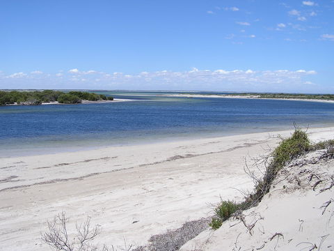 Acraman Creek Conservation Park - Foster Accommodation 0