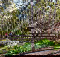 Armadale - Foster Accommodation