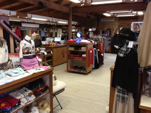 Australian Alpaca Barn - Pokolbin - Foster Accommodation 1