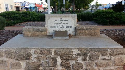 Barmera Horse Trough - Foster Accommodation 0