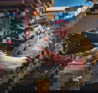 Battlezone Playlive - Foster Accommodation