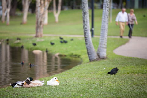 Centenary Lakes Park - Foster Accommodation 2