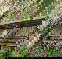 Daisy Hill Koala Centre - Foster Accommodation