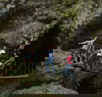 Day trips from Rockhampton - Foster Accommodation