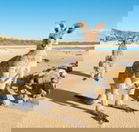 Diamond Head Beach - Foster Accommodation